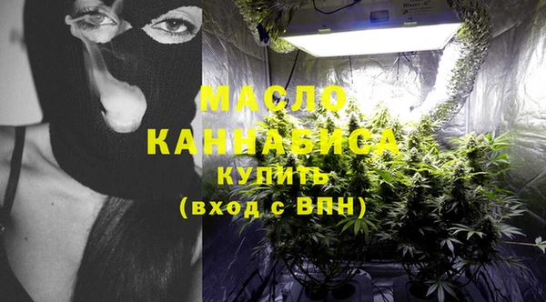 молекула духа Надым