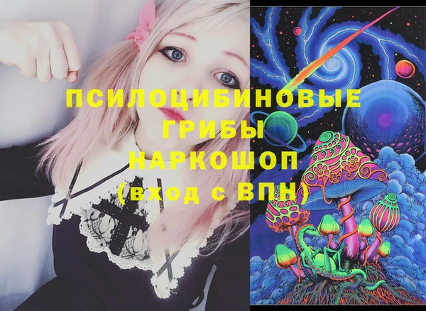 молекула духа Надым