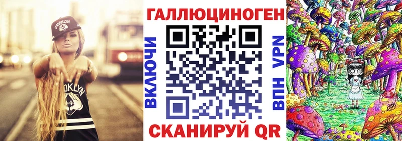 Псилоцибиновые грибы Psilocybe  Купить  Сочи 